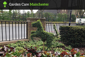 Garden Maintenance in Manchester